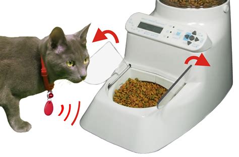 rfid cat feeders